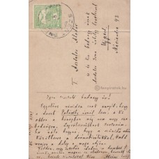 Ábrányi Emil (1850-1920) költő, újságíró barna tintával írt, aláírt, sk. képeslapja